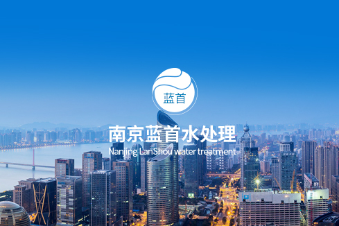 肃宁建站-南京蓝首水处理设备有限公司